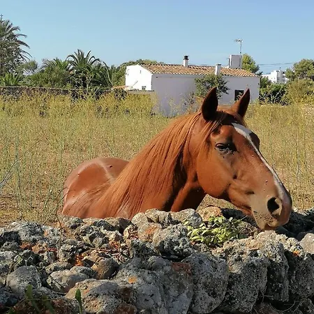 Apto. S'aigua Dolca 4 Son Carrio (Menorca)
